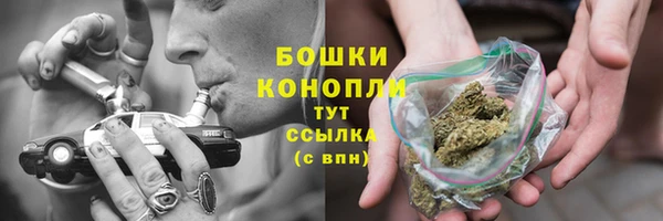 индика Навашино