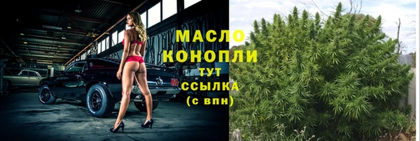 индика Навашино