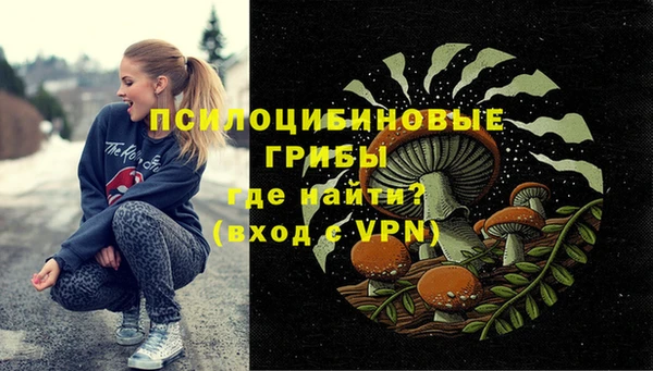 индика Навашино