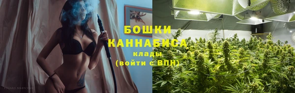 ГАЛЛЮЦИНОГЕННЫЕ ГРИБЫ Надым